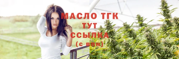 хмурый Каменногорск