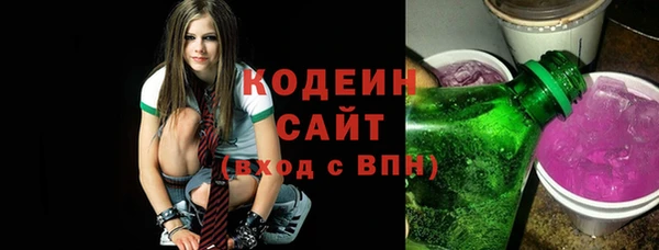 хмурый Каменногорск