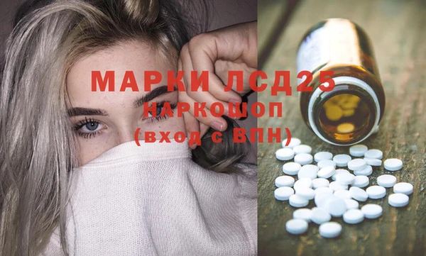 хмурый Каменногорск