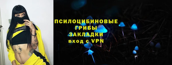дурь Каменка