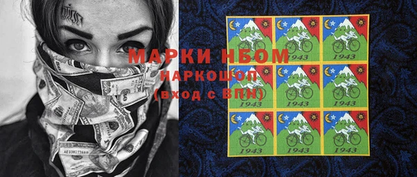 хмурый Каменногорск