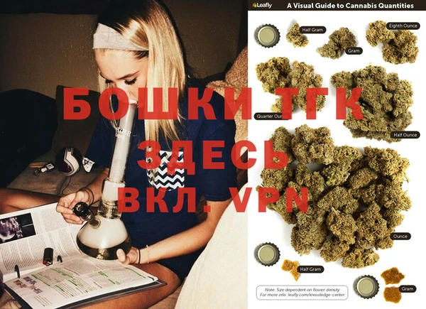 хмурый Каменногорск