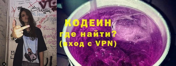 дурь Каменка