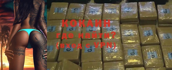 дурь Каменка
