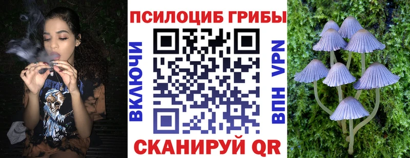 Галлюциногенные грибы Psilocybe  Купить  Миллерово 